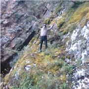 Soy bachiller en ingeniería ambiental. Tengo ardua experiencia en materia de matemá método de enseñanza es la más óptima y me gusta que mis alumnos entiendan a la perfeccion.puedan superarse y tengo paciencia .me gusta enseñar y al cual quiero llegar es a